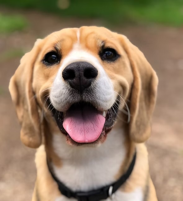 imgi 14 Image by Milli