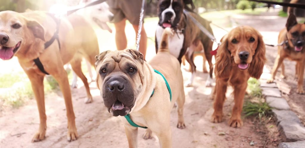 imgi 4 a8ce84a51c8f4768b5edb6bdca7b9776